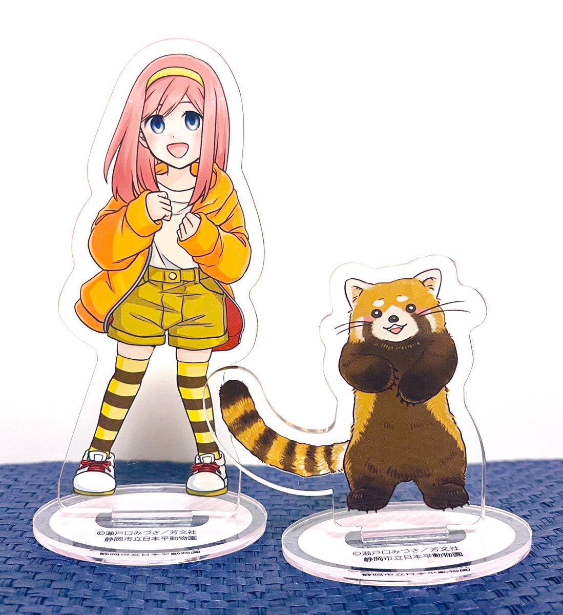 「日本平動物園×『ローカル女子の遠吠え』アクスタ、こんな感じです 写真あんまり上手」|瀬戸口みづき🍵漫画家のイラスト