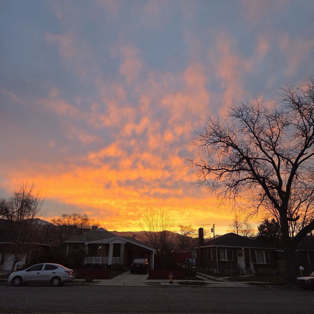 Monica Traphagan tweet media