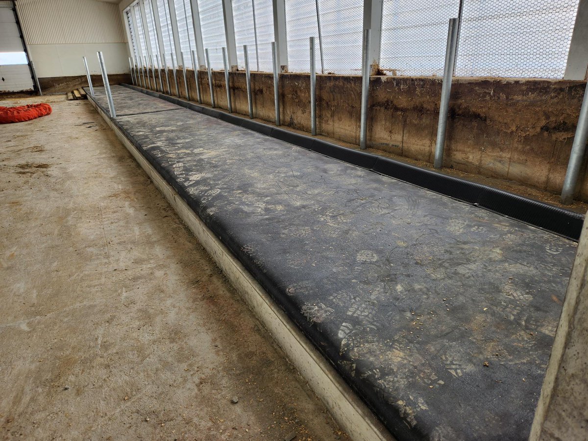 Promat Inc. tweet media