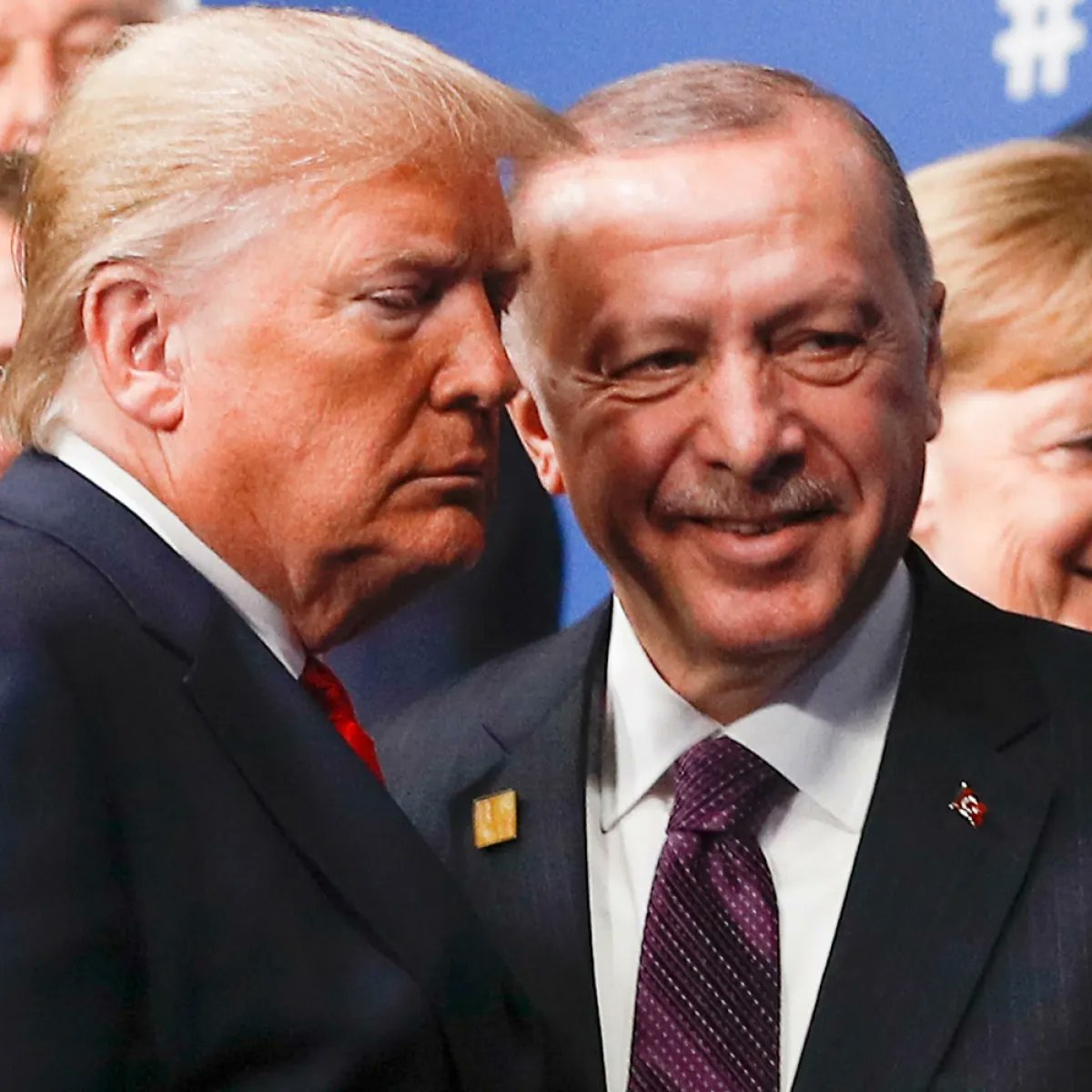 POLITURCO.COM tweet media