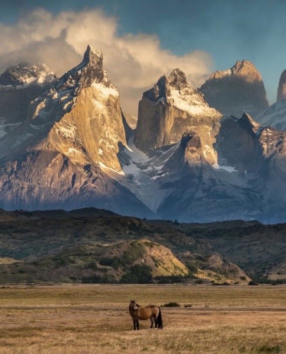 Johnsondevs tweet media