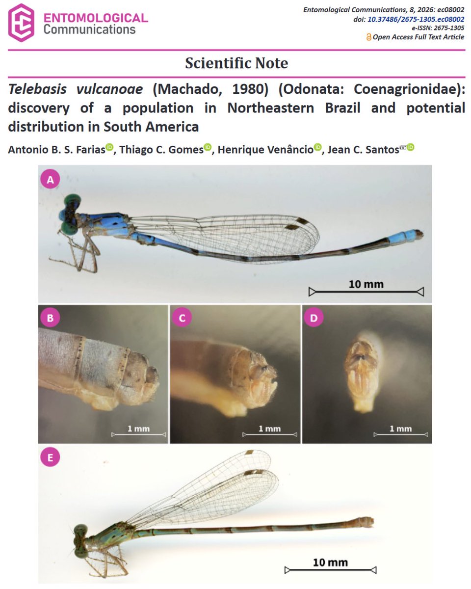 Entomological Communications tweet media