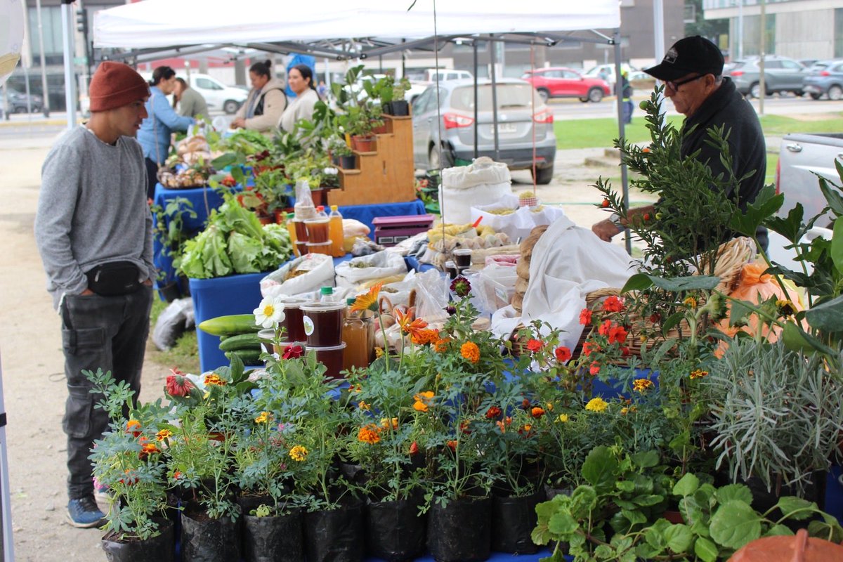 Minagri Biobío tweet media