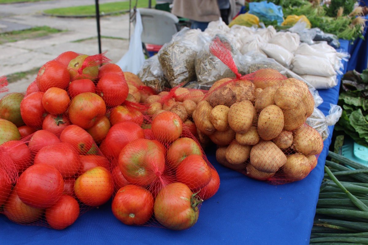 Minagri Biobío tweet media