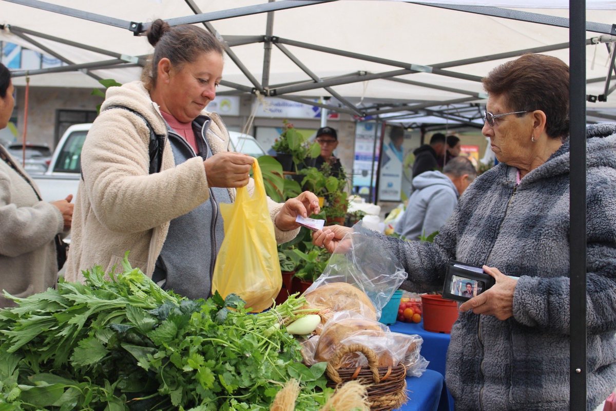 Minagri Biobío tweet media