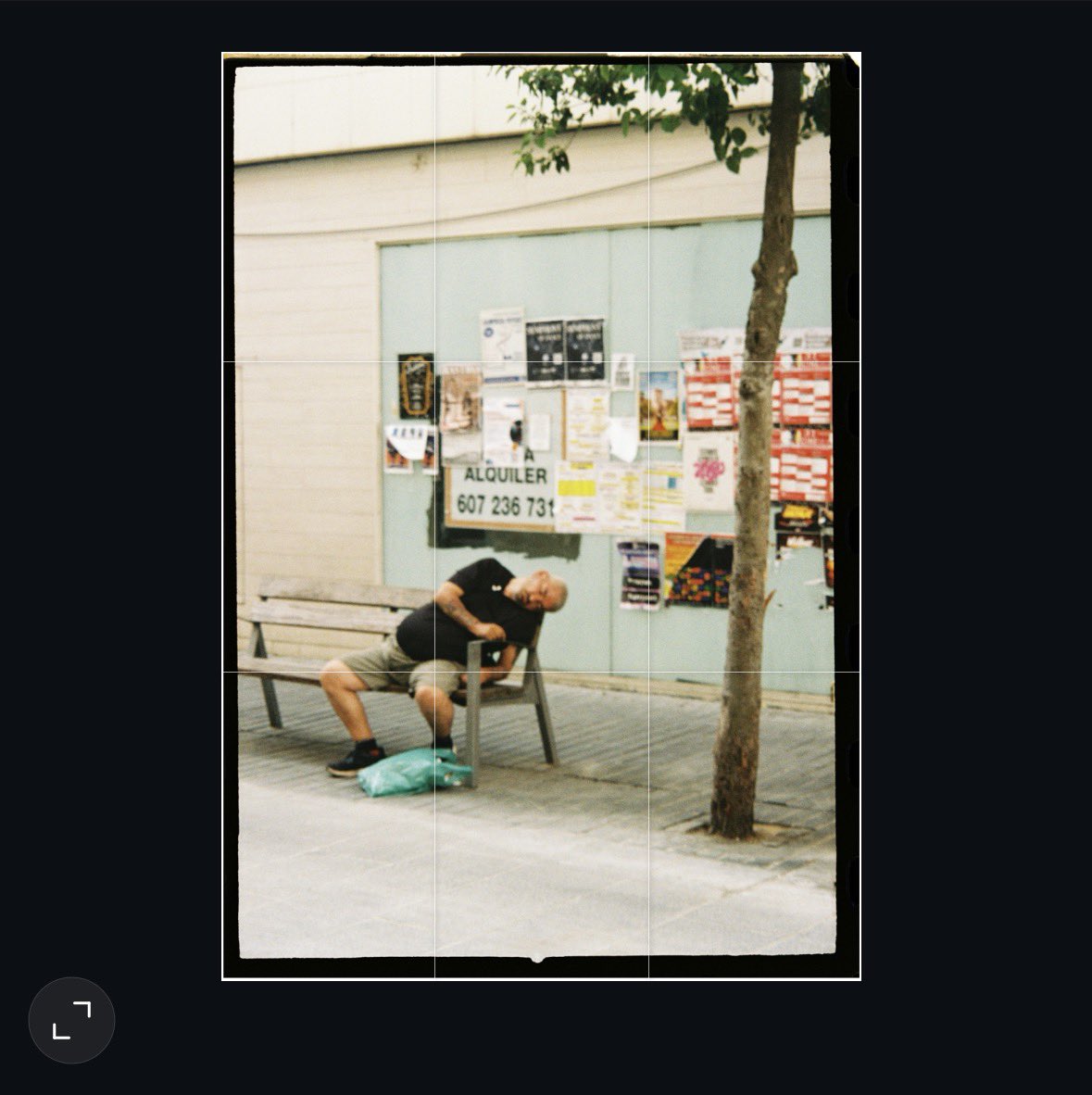 OLAMIDE OF CATALONIA tweet media