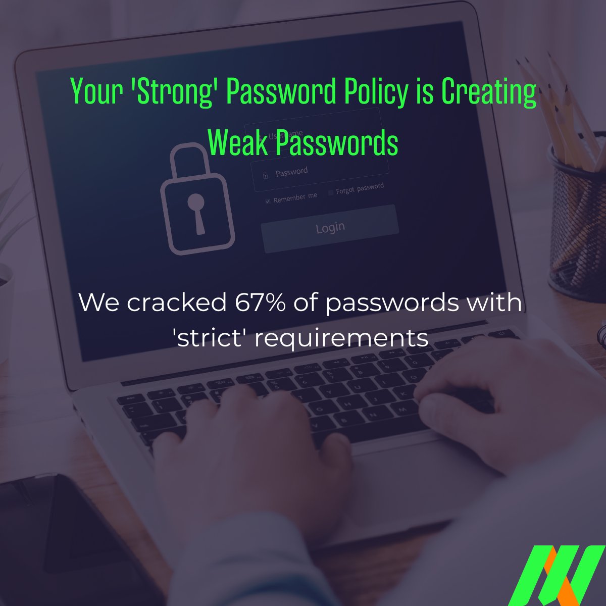 MainNerve LLC tweet media