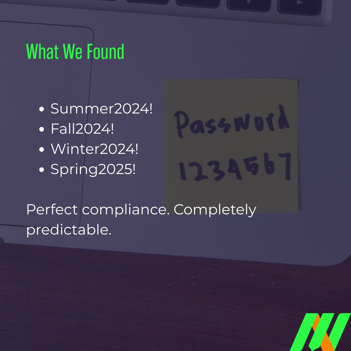 MainNerve LLC tweet media