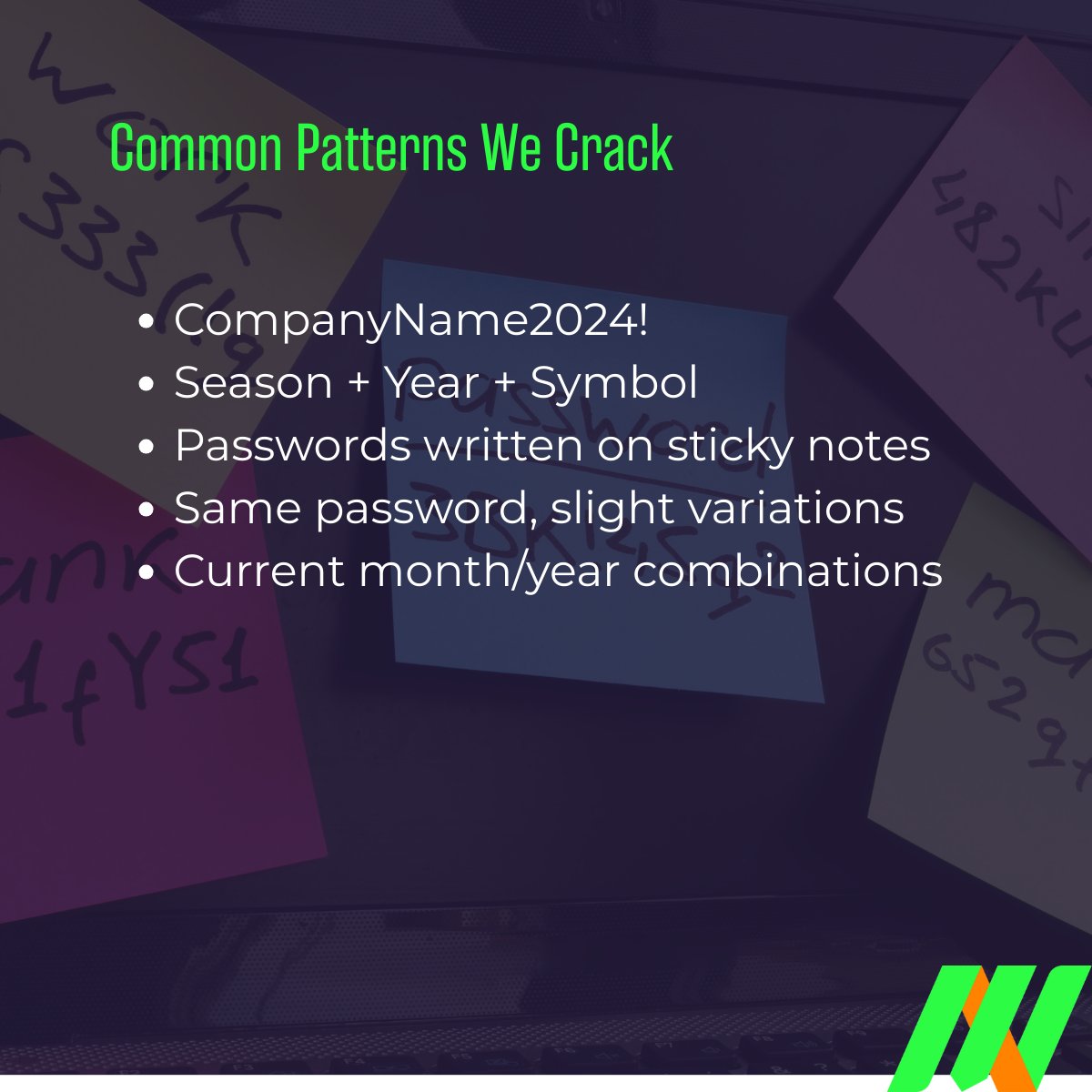 MainNerve LLC tweet media