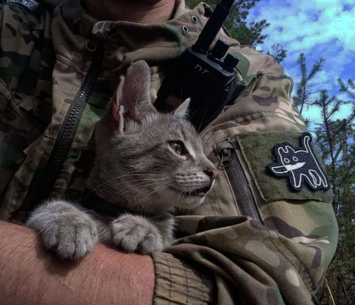 Хочется уже весны и победы.💪