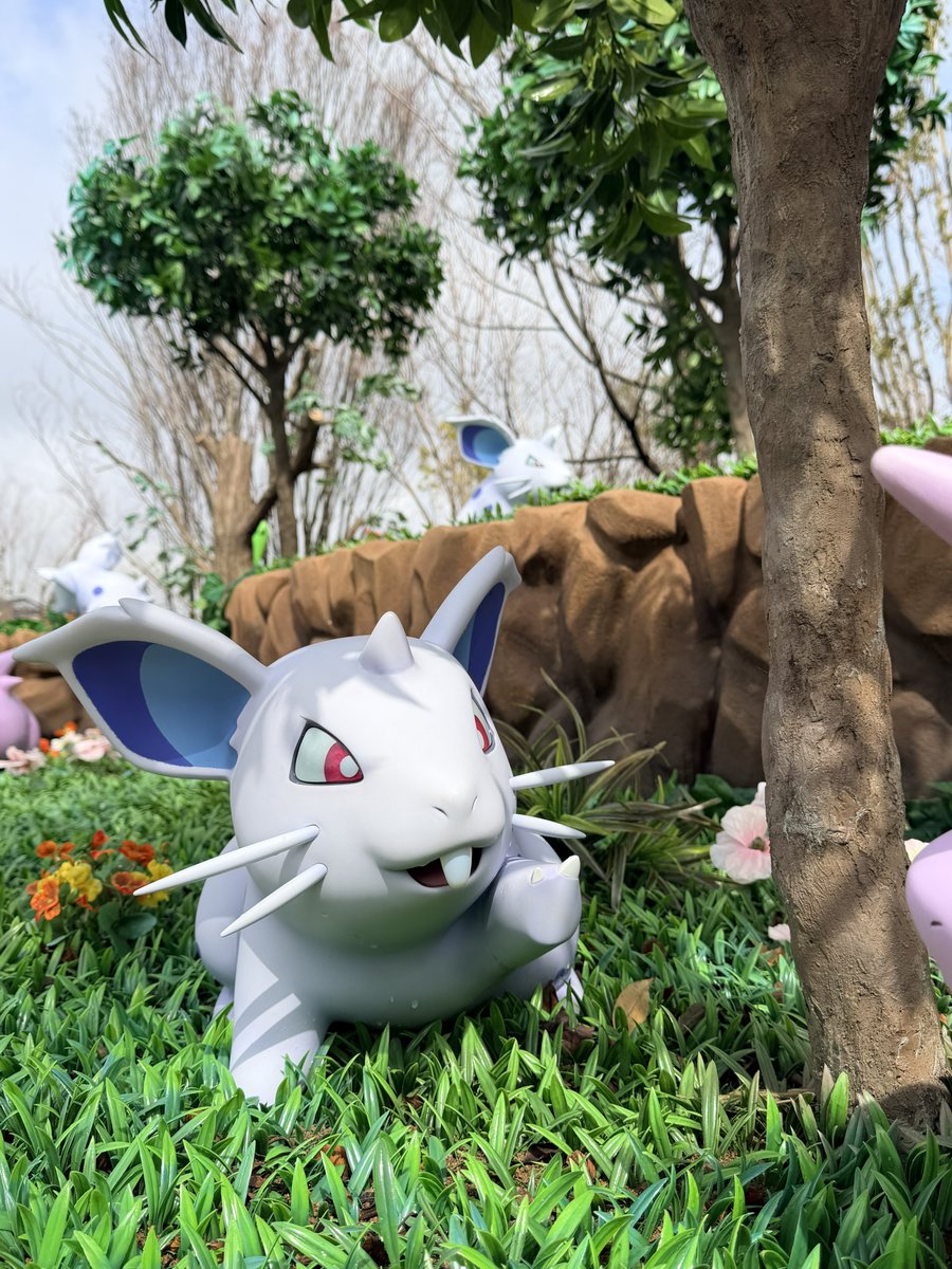 minuitours's tweet photo. ポケモンみんな生きてて最高だった…… https://t.co/5coBL2UohQ