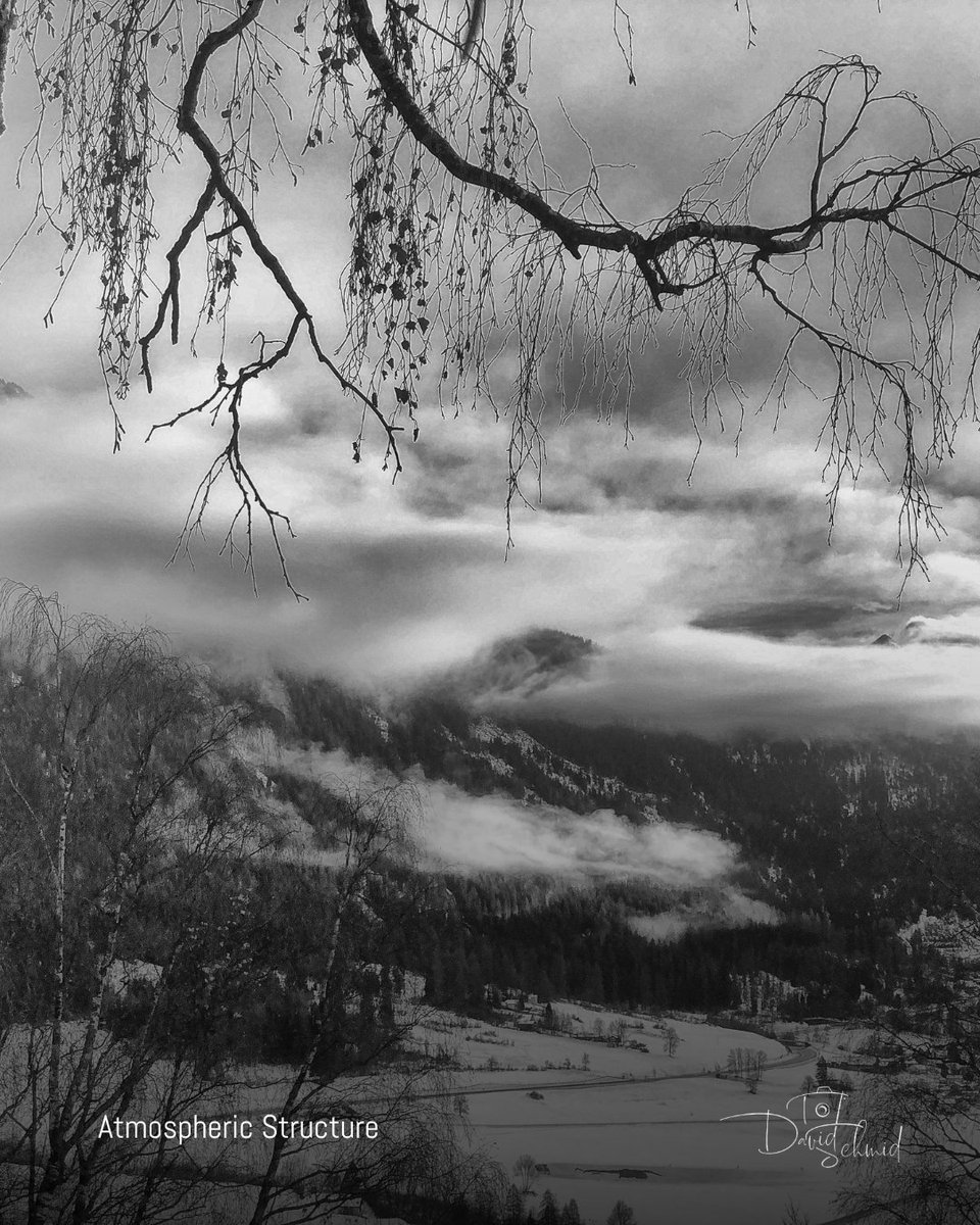 David Schmid tweet media