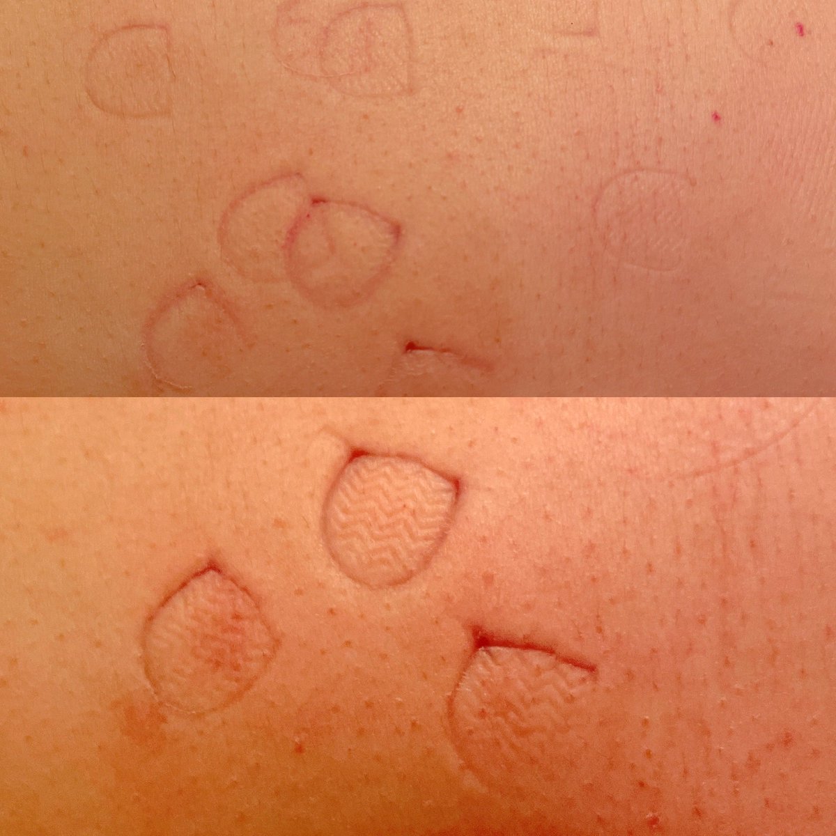 レイ様👑 【3/28(土)名古屋巡業13:00~ 】新宿ﾊﾟ( ) ﾌｨﾘｱ tweet media