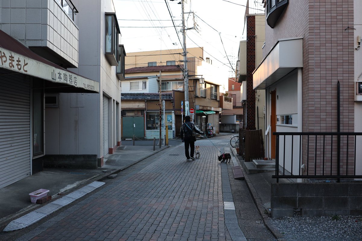 roppe (@enbundaisukii) on Twitter photo 