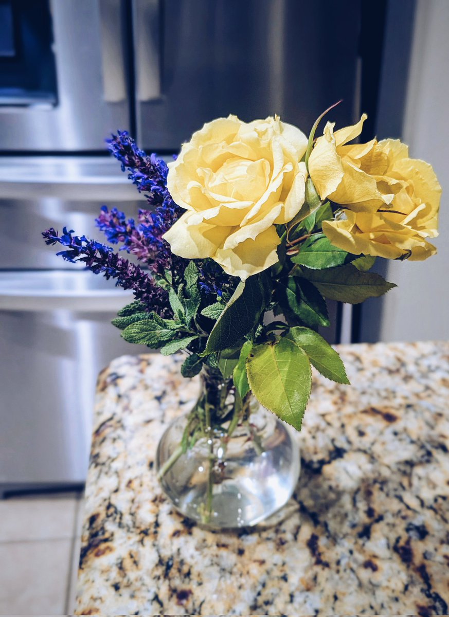 Anna Madden tweet media