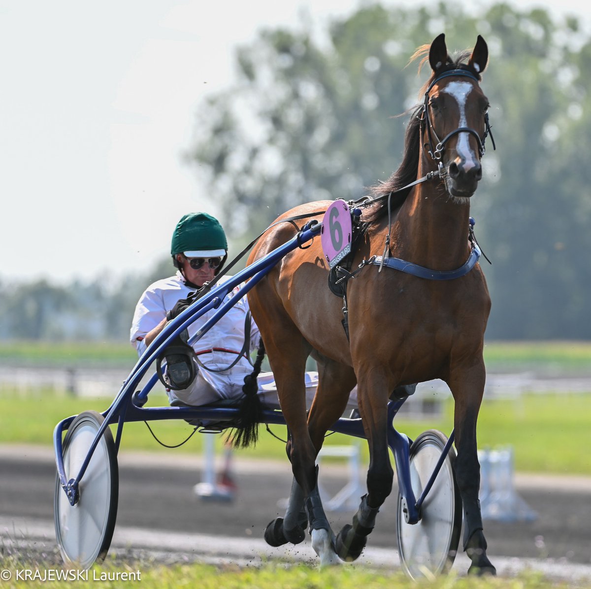 Protection Civile 67 tweet media