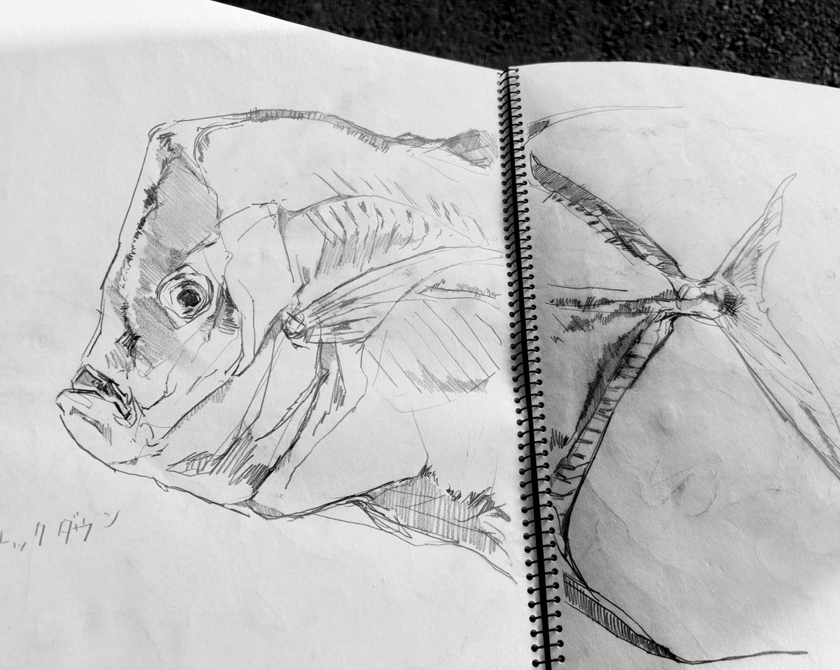 三村 南 tweet media