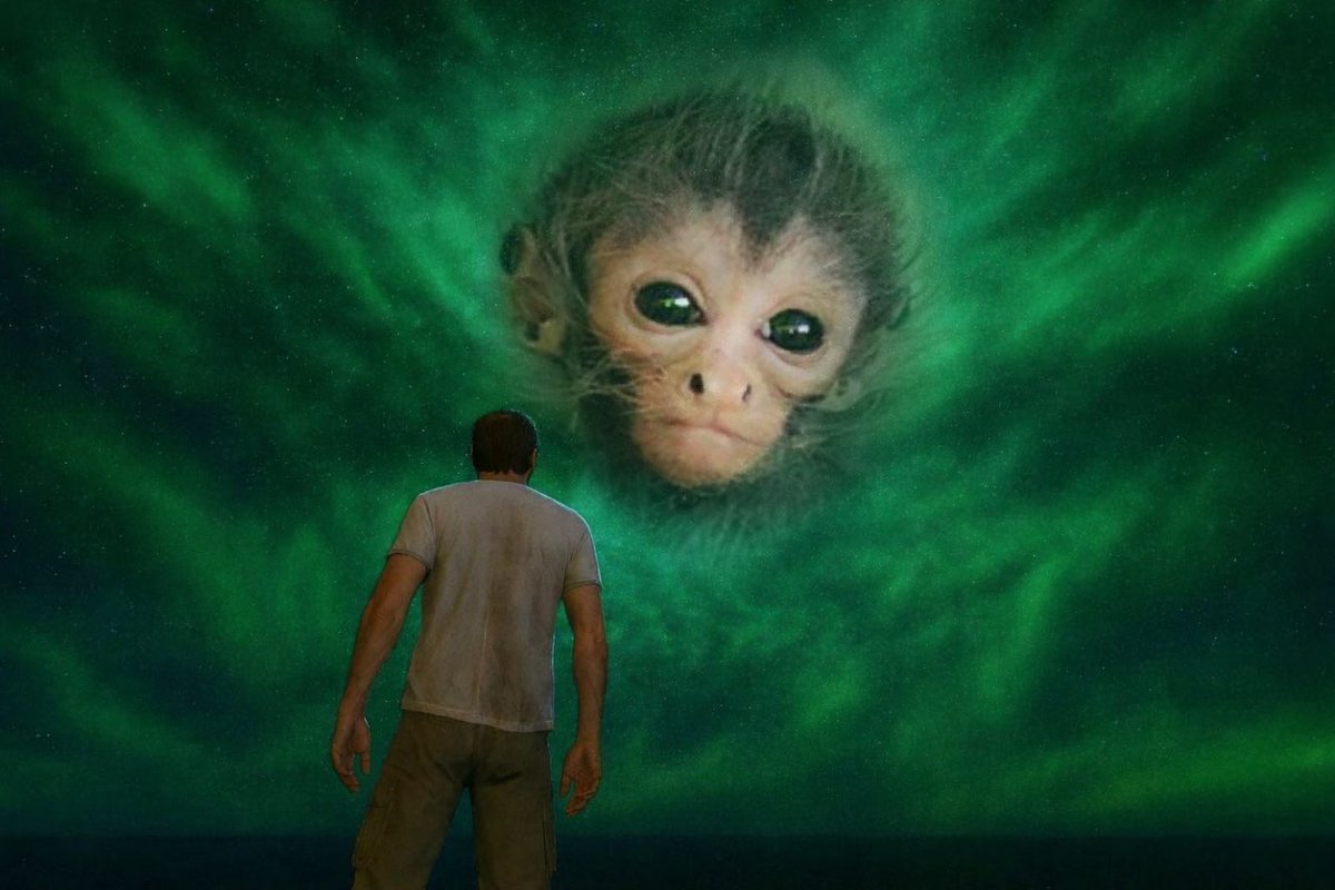 Cryptoshi tweet media