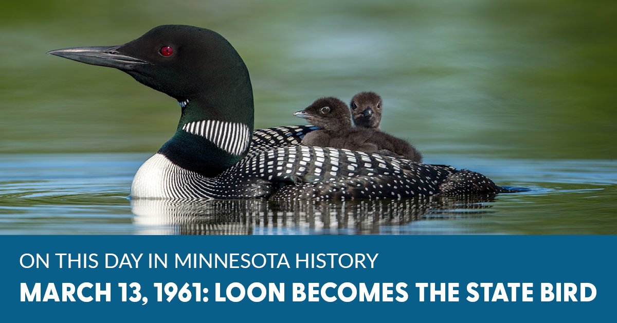 Minnesota Secretary of State tweet media