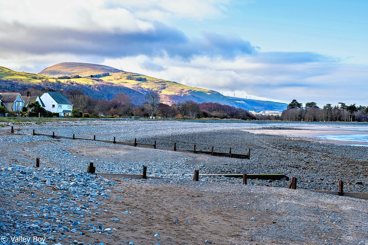 ValleyBoy tweet media