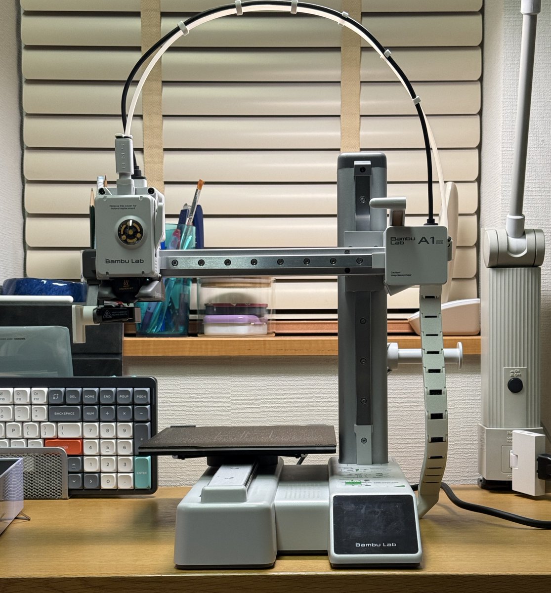 チワワの奇襲 tweet media