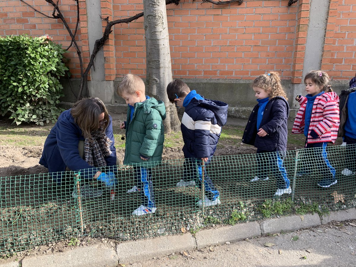 Colegio LMSF tweet media