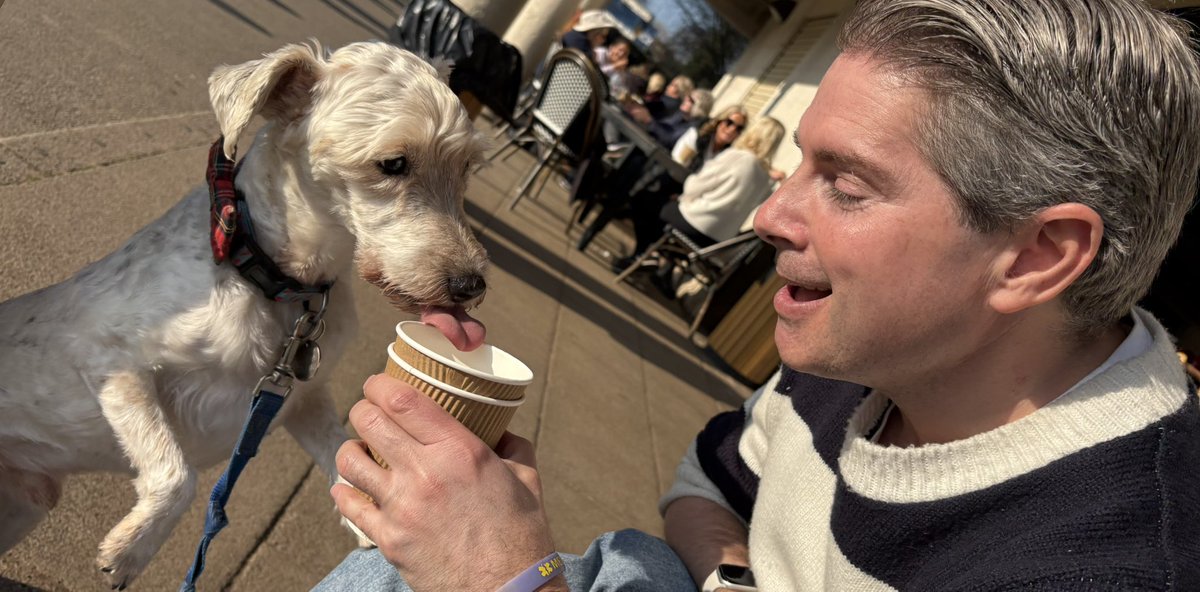 Rubitadogita's tweet image. Happy tongue out tuesday pals #tongueouttuesday #dogsofinstagram