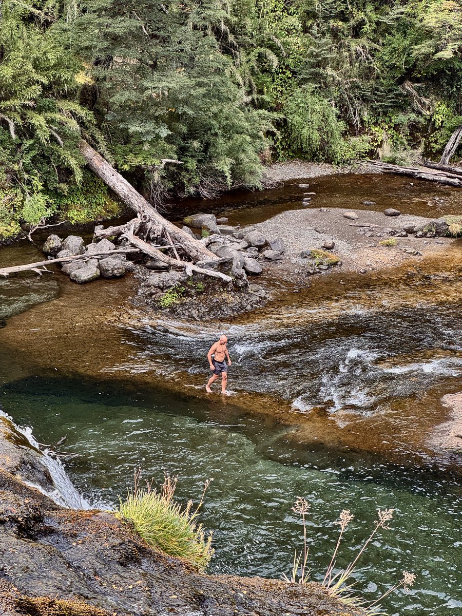 weekly reminder:

touch some earth