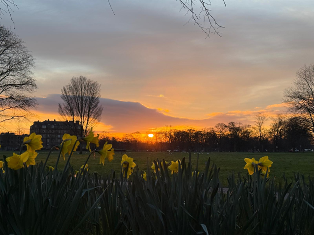 Age Friendly North Yorkshire tweet media