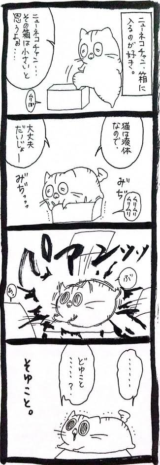 ﾆｭｰﾈｺﾁｬﾝと小さな箱