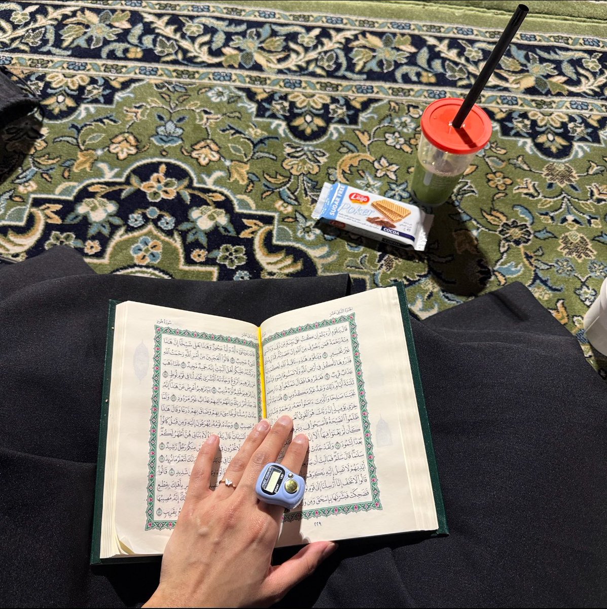 مــدى tweet media