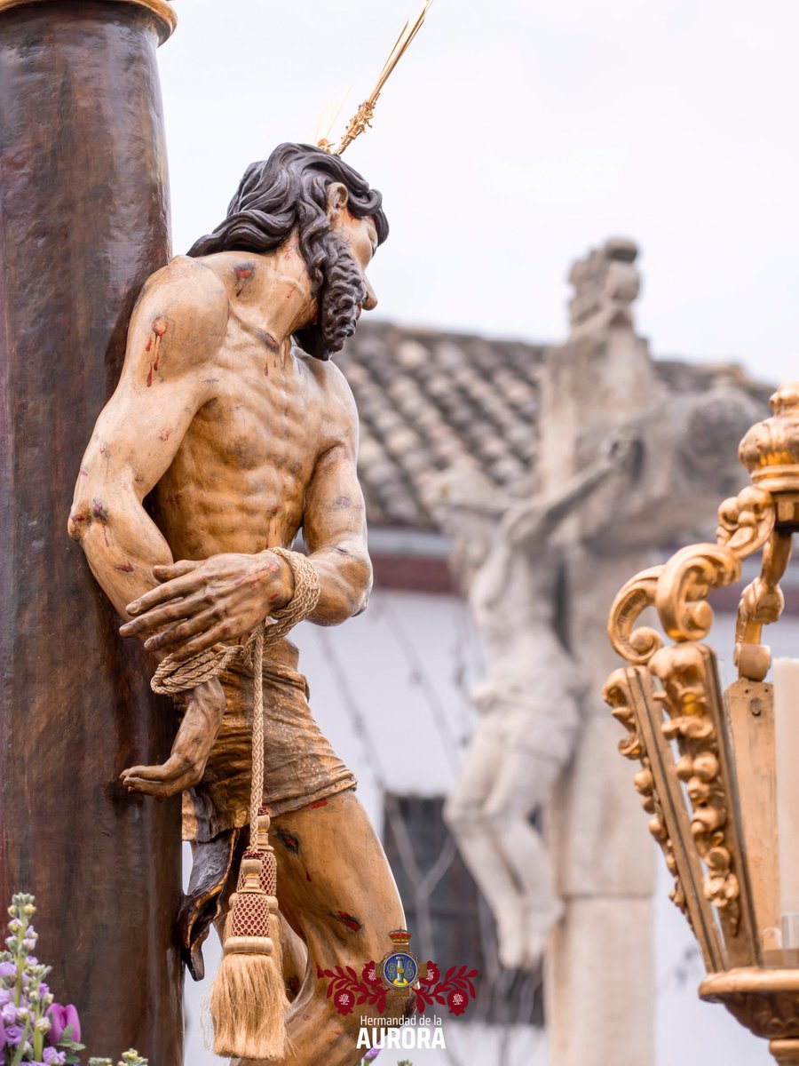 Hermandad de la Aurora tweet media