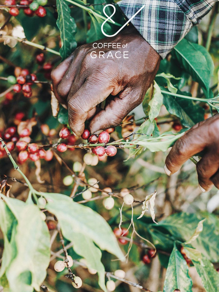 Coffee of Grace tweet media