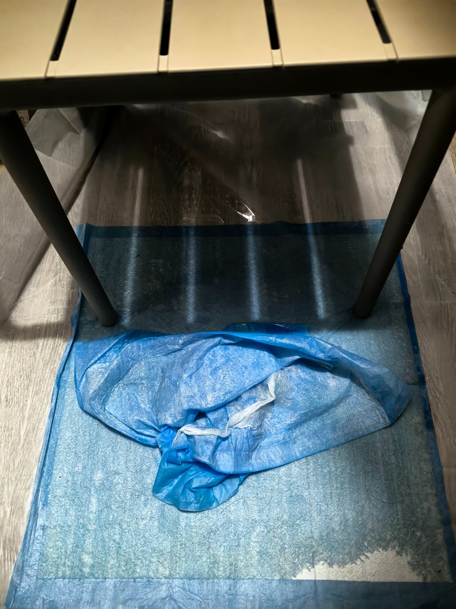 南京农（技术控射） tweet media