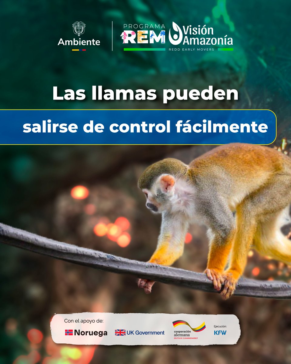 REM Colombia - Visión Amazonía tweet media
