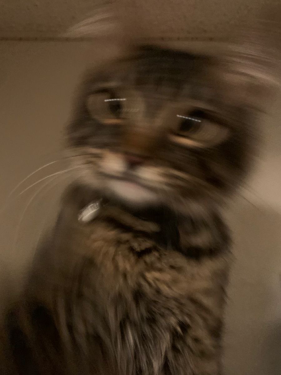 ash ⋆｡°✩ (@mintmingito) on Twitter photo 