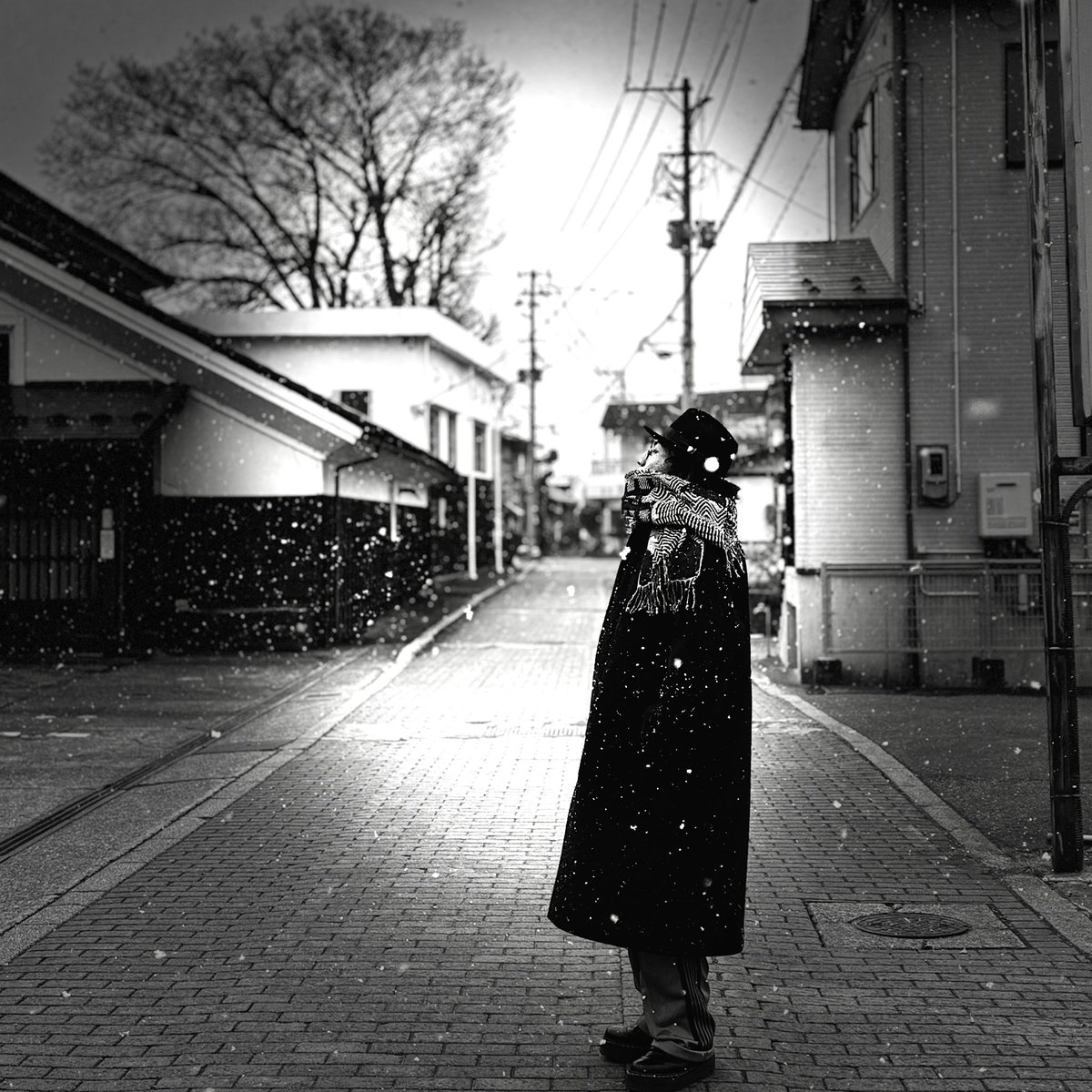 Yhu (Yu Hagiwara) tweet media