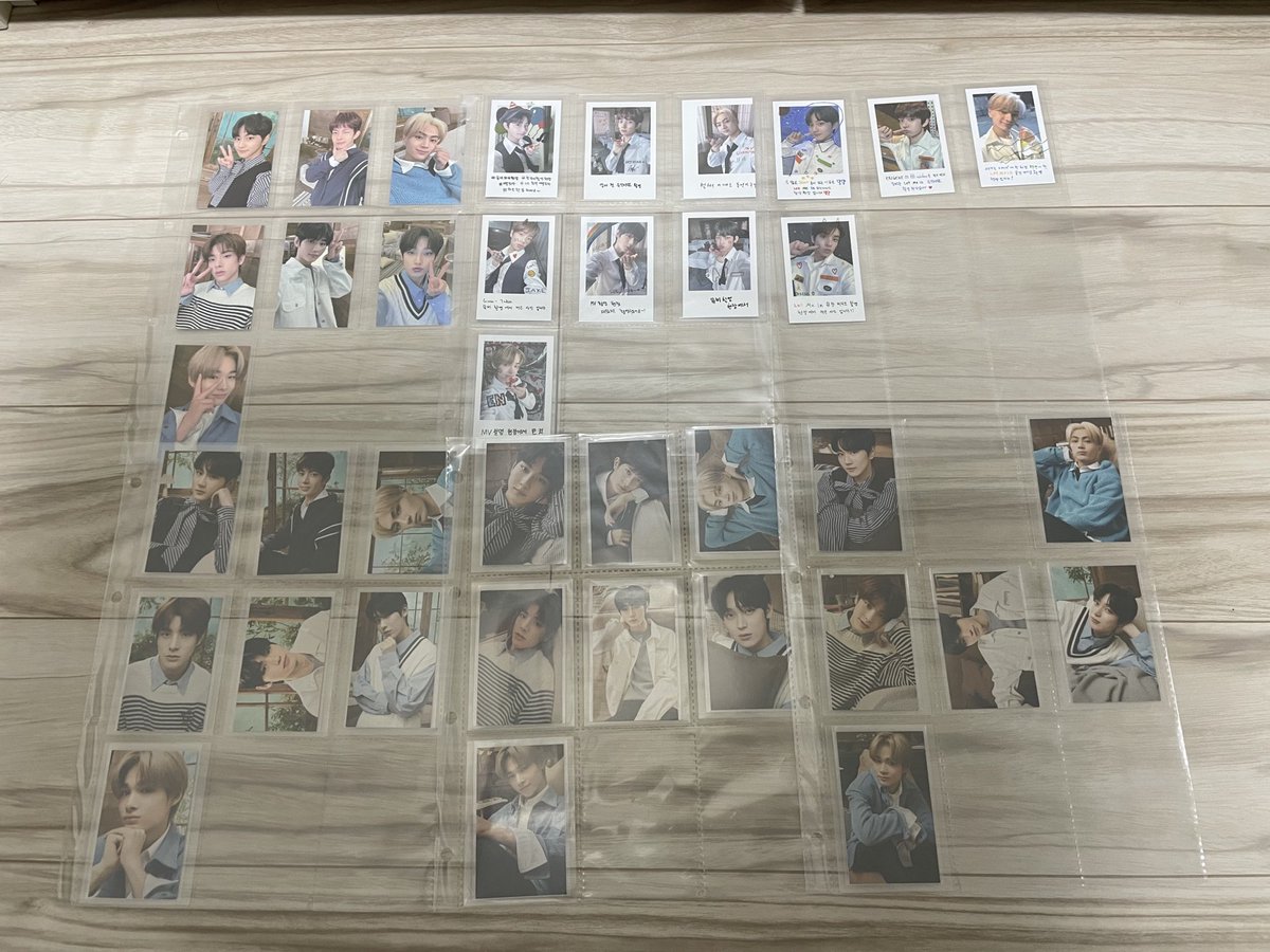 Sunbloom02 tweet media