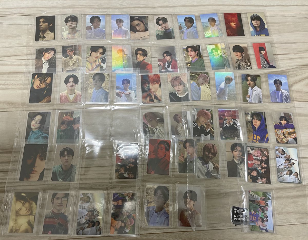 Sunbloom02 tweet media