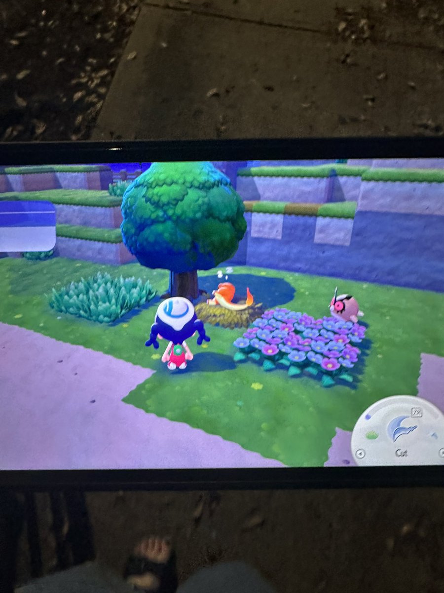 Livillon 🌱 tweet media