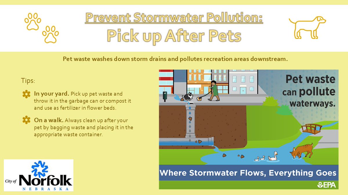City of Norfolk, NE tweet media
