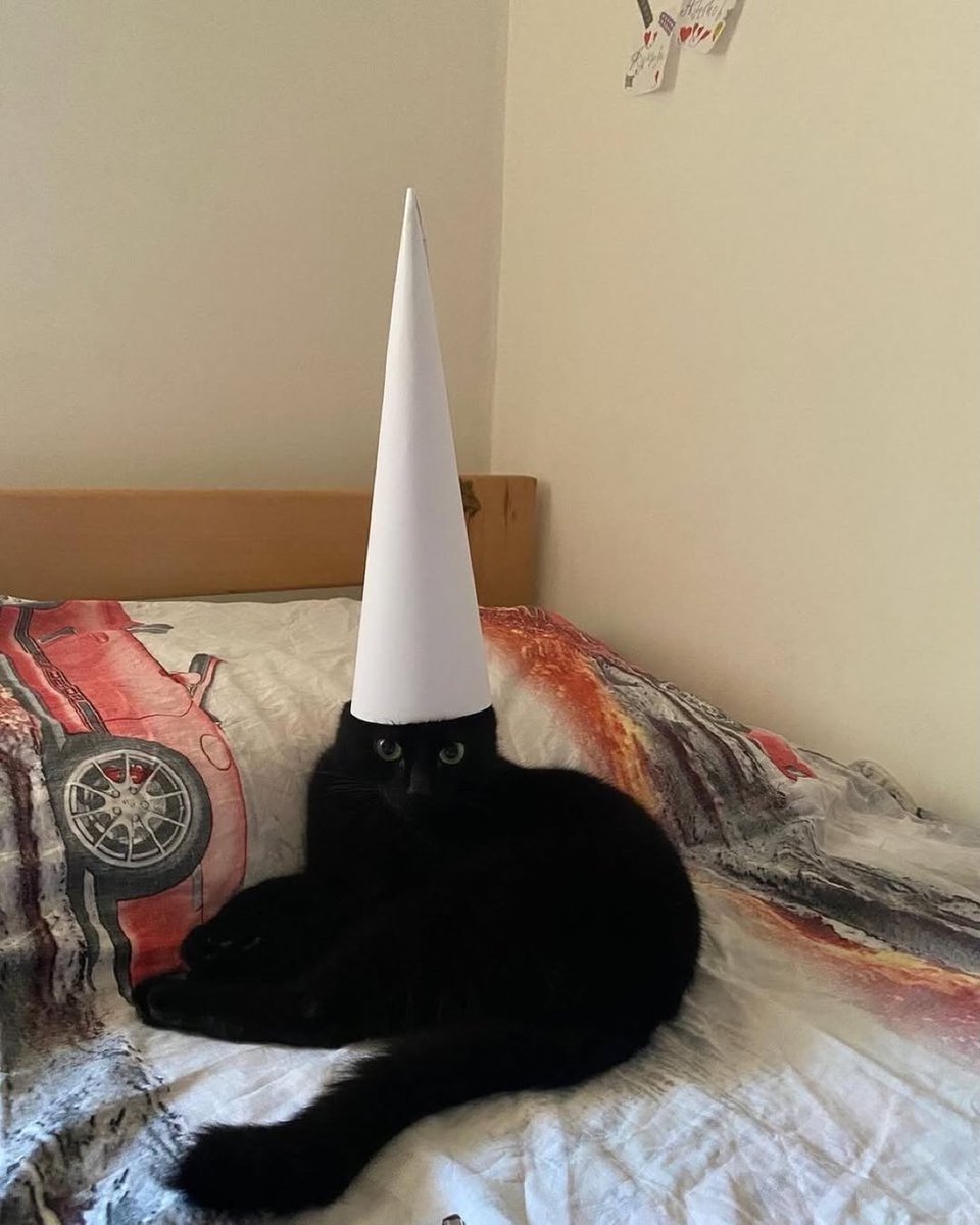 No Context Cats tweet media