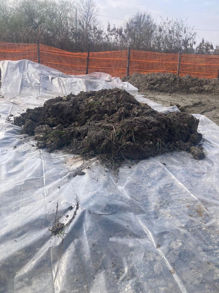 ARPA FVG tweet media