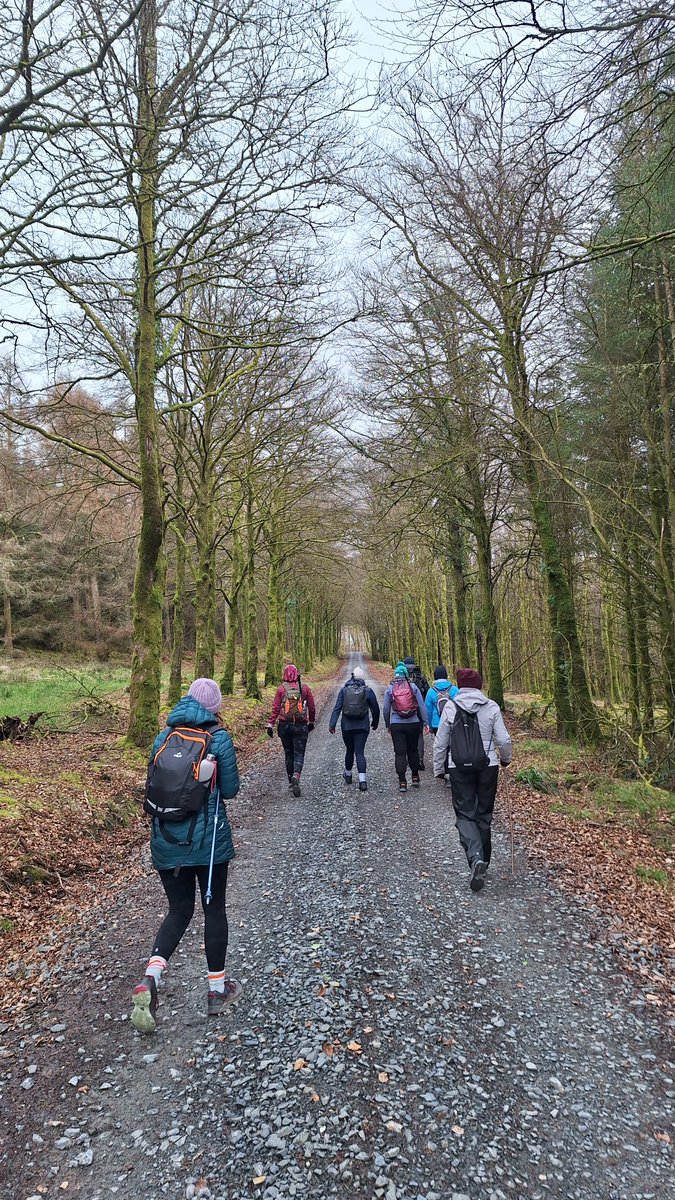 Tipperary Sports tweet media