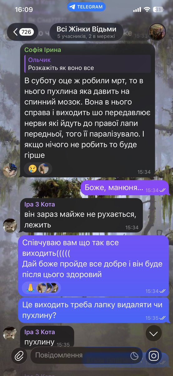 🇺🇦Рибка малює і tweet media