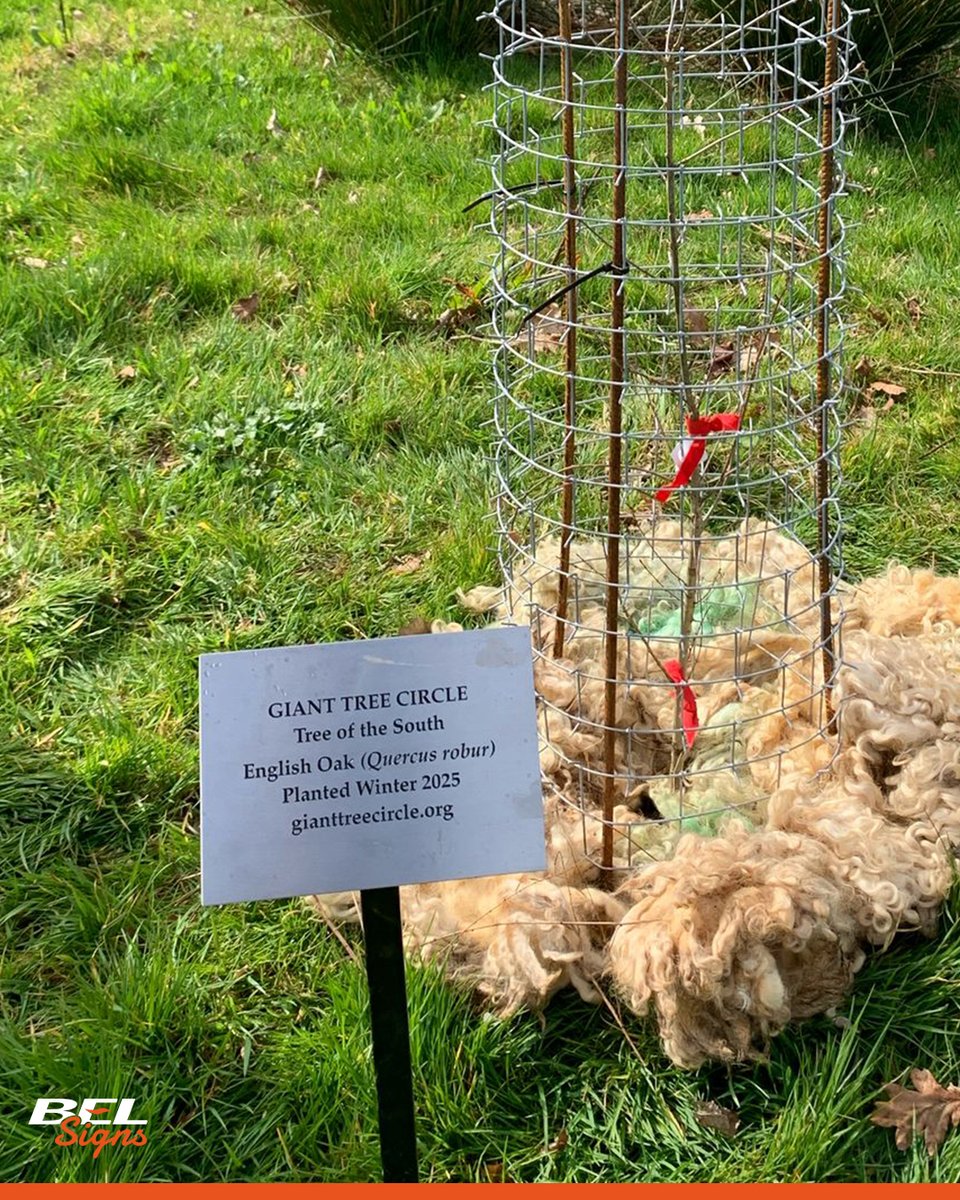 BEL Signs tweet media