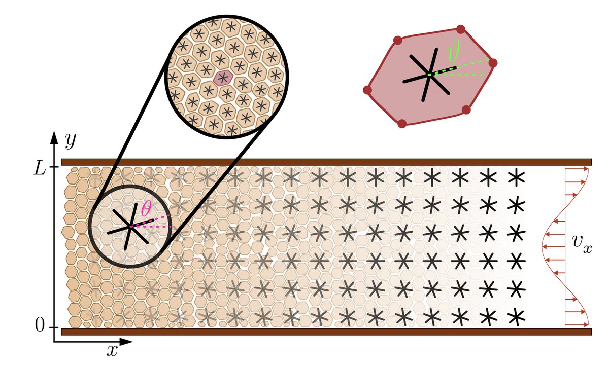 PRX Life tweet media