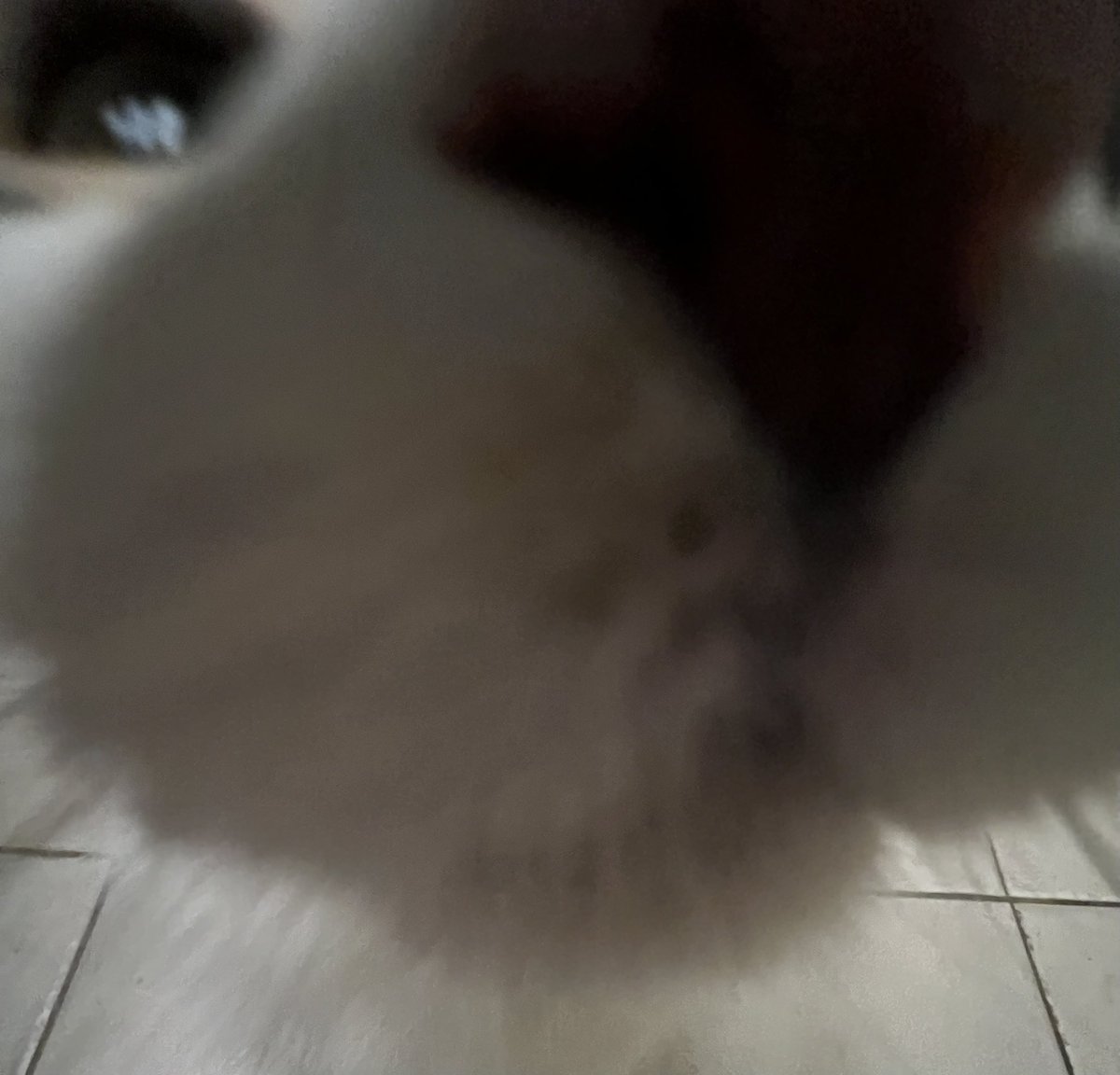 LaDeathMachine tweet media