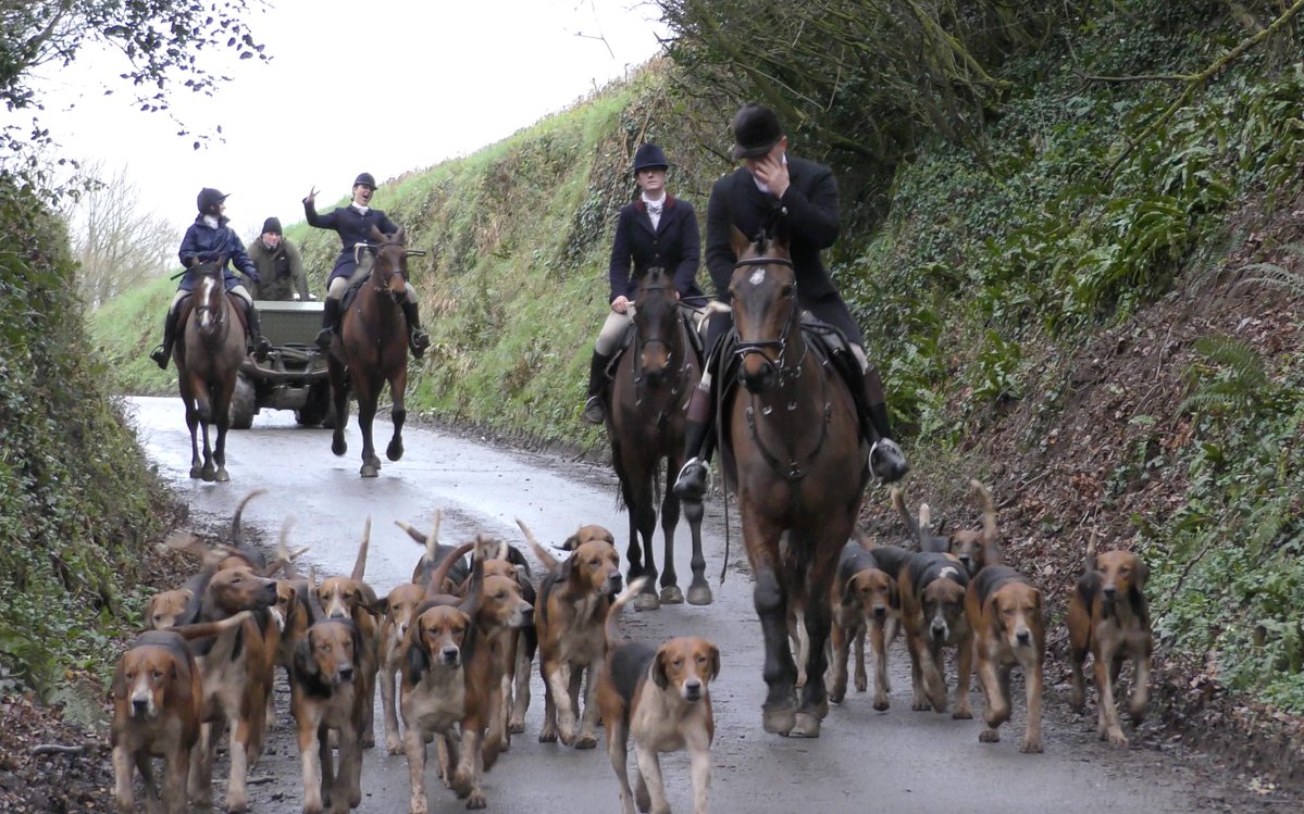 Devon County Hunt Sabs tweet media