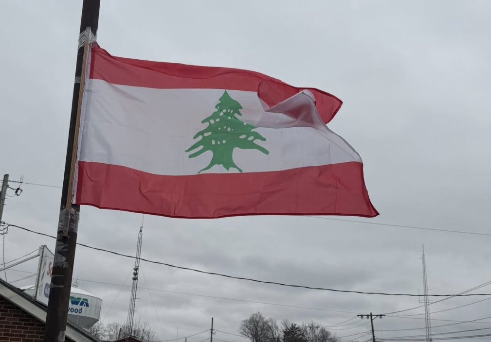 ✨WendyDarling✨ tweet media